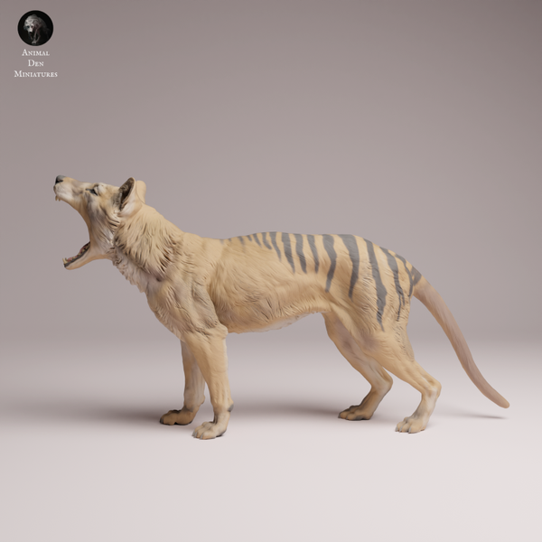 Thylacine - Yawn 1:24