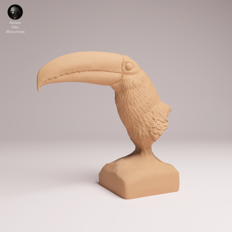 Toco Toucan Bust 1-3
