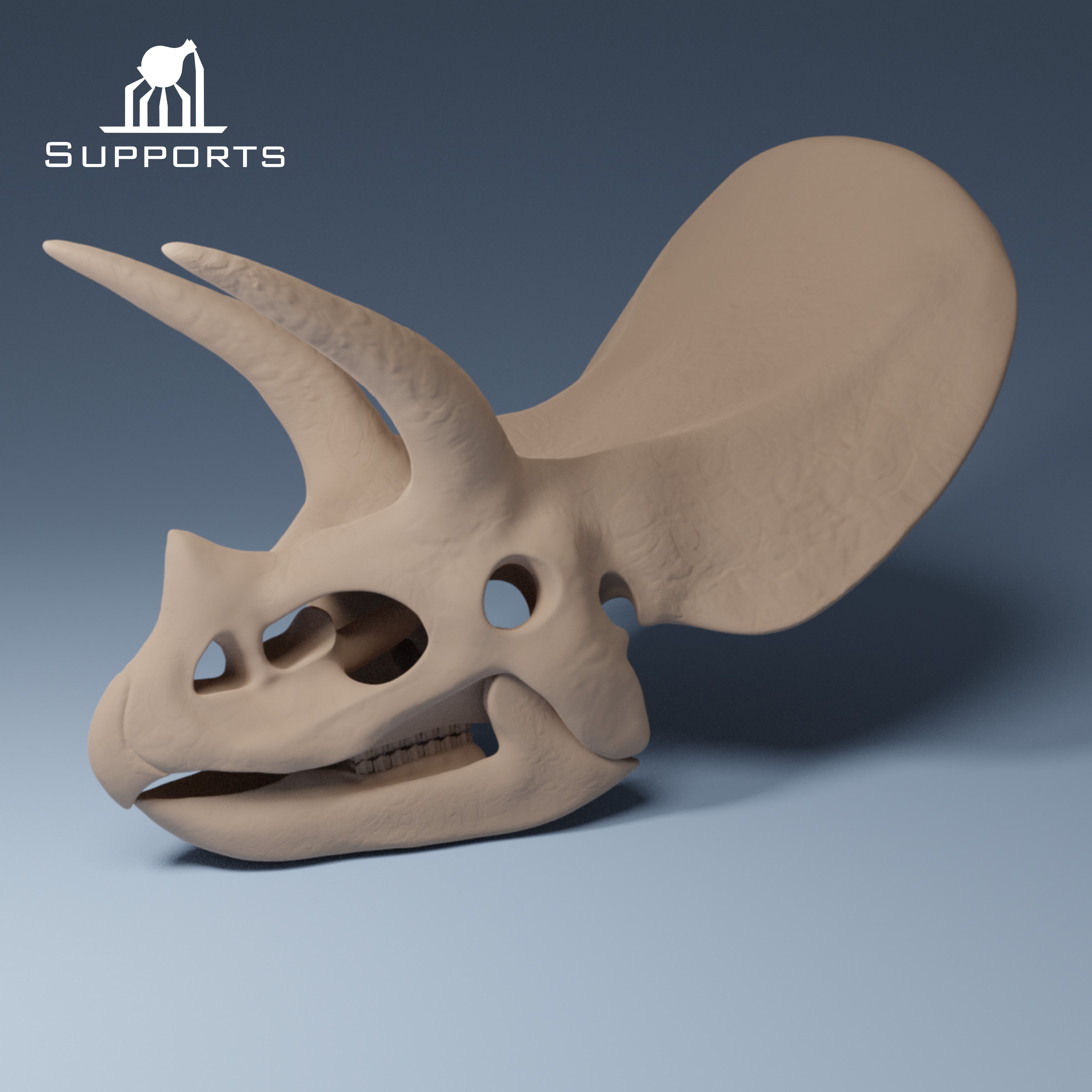 Dinosaur Skulls - Group 2