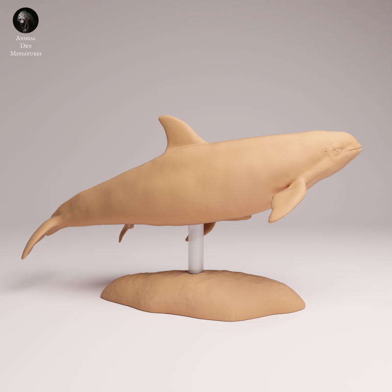 Vaquita with Calf