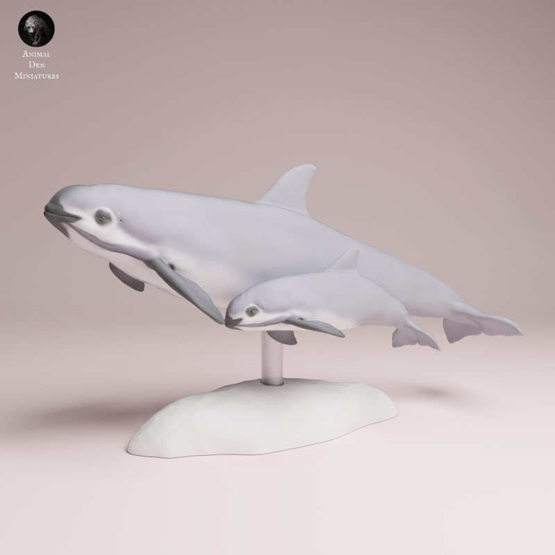 Vaquita with Calf