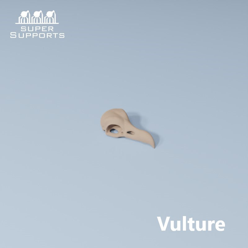 Animal Skulls - Group 3