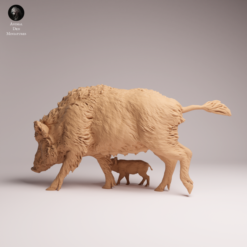 Wild Boar - Sow and Piglet
