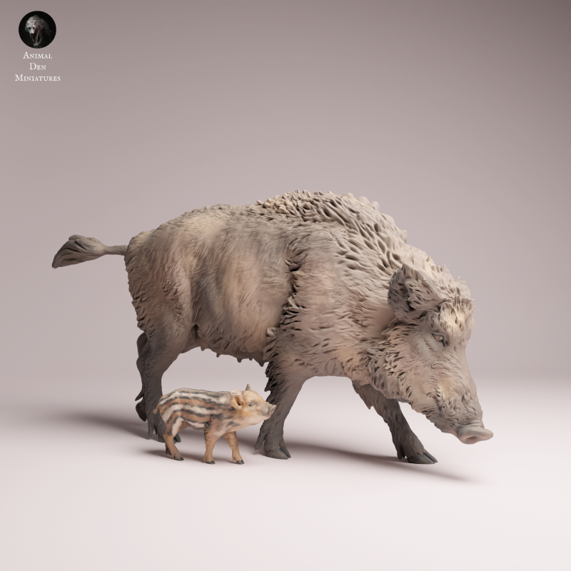 Wild Boar - Sow and Piglet