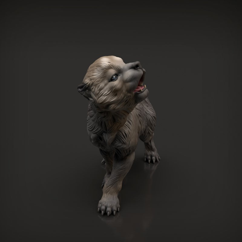 Wolf Pup