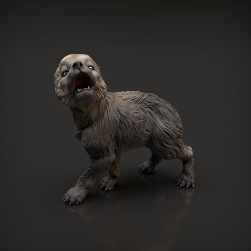Wolf Pup