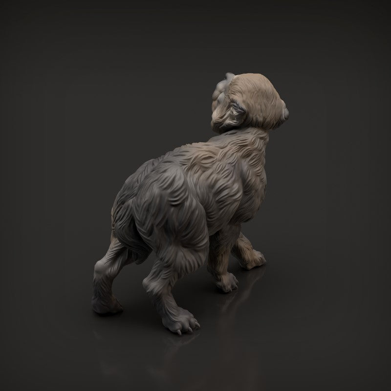 Wolf Pup