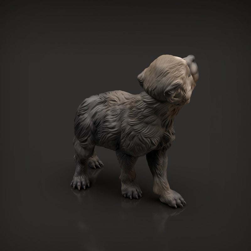 Wolf Pup