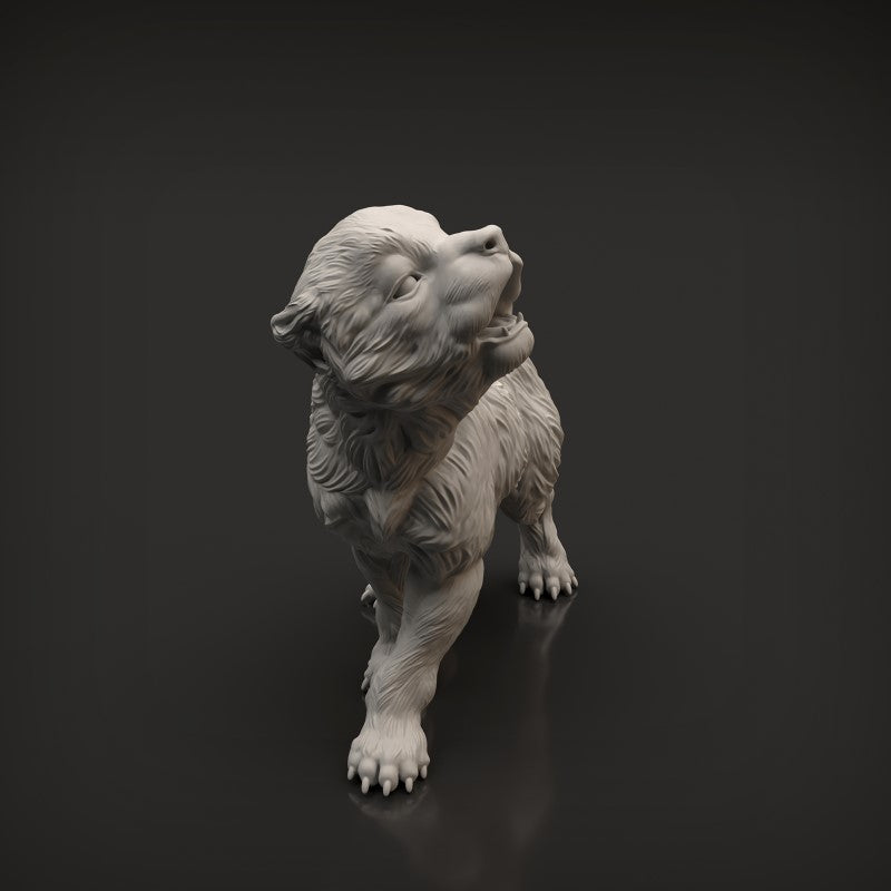 Wolf Pup