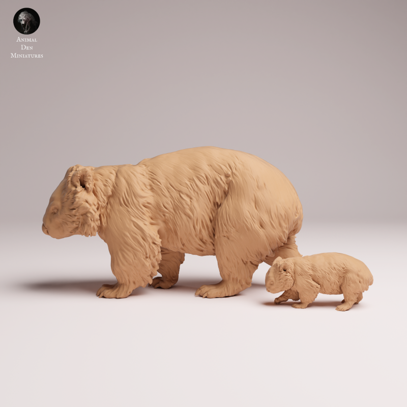 Wombat and Joey 1:16