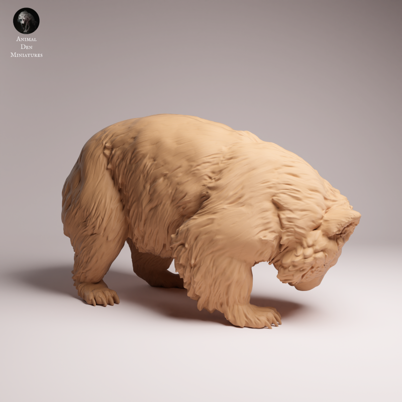 Wombat Scratching 1:16