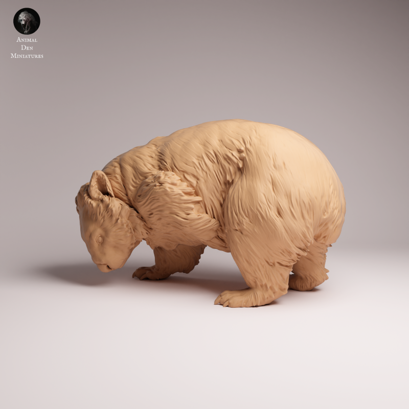 Wombat Scratching 1:16