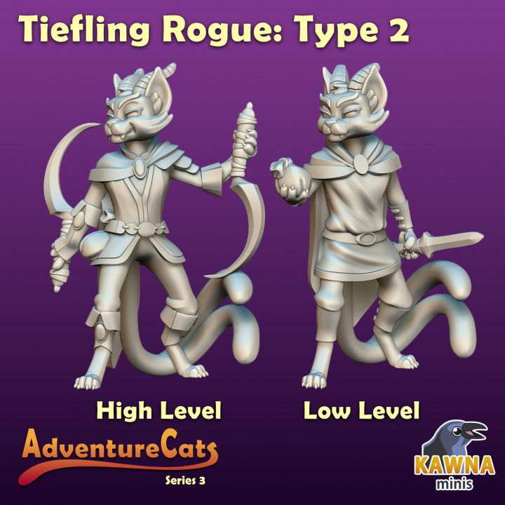 Rogue Tiefling - Type 2