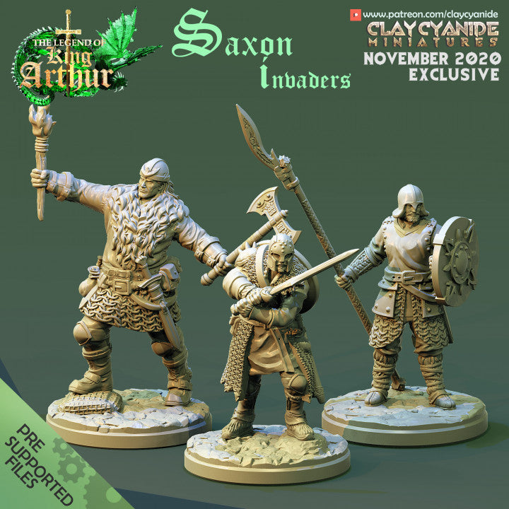 Viking saxon barbarian invader