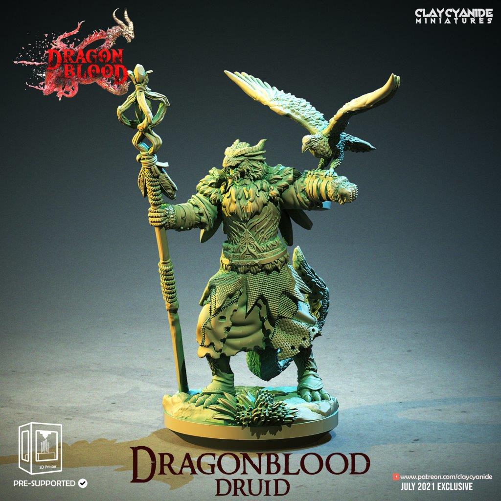 Dragonblood Druid
