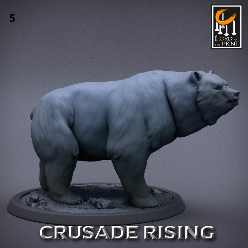 miniature Templar Bear by Lord of the Print